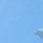 seance41_banner_small.png