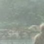 seance5_banner_small.png